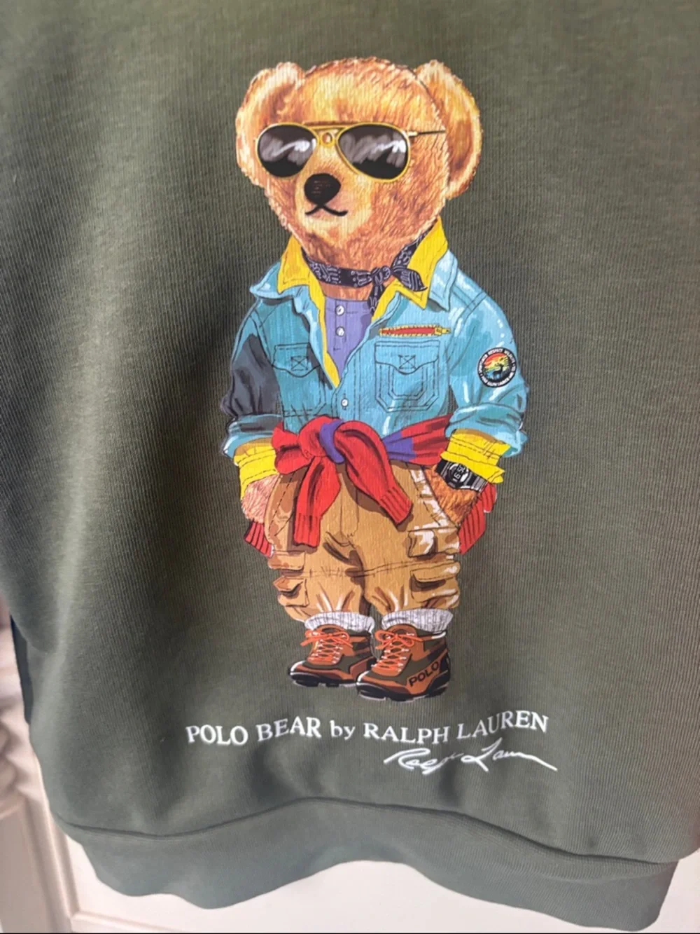 Polo Ralph Lauren Colorblock Polo Bear Hoodie - Olive, Blue & Orange - Picture 3 of 7